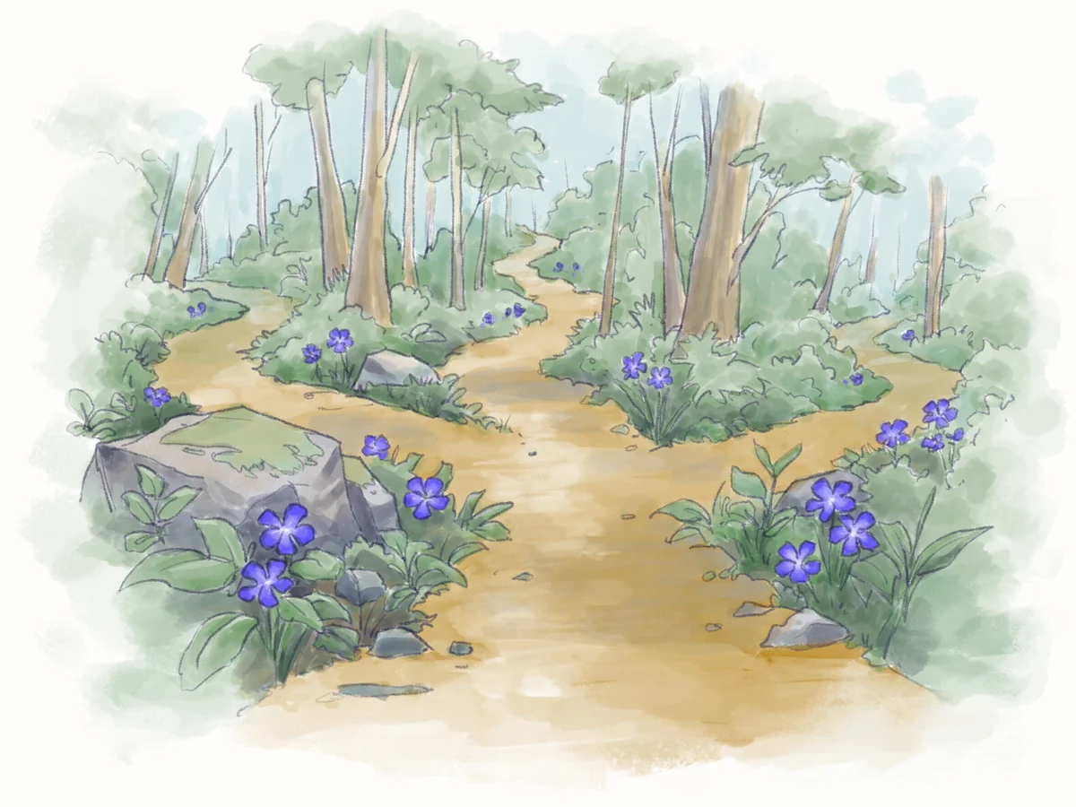 Watercolor of a forest trail that forks into several paths, with periwinkle blooming beside mossy rocks.
