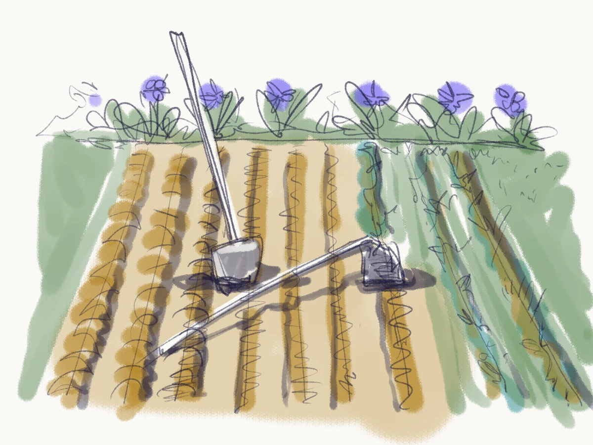 Sketch of freshly plowed garden rows with a hoe and shovel, beside a border of flowers.