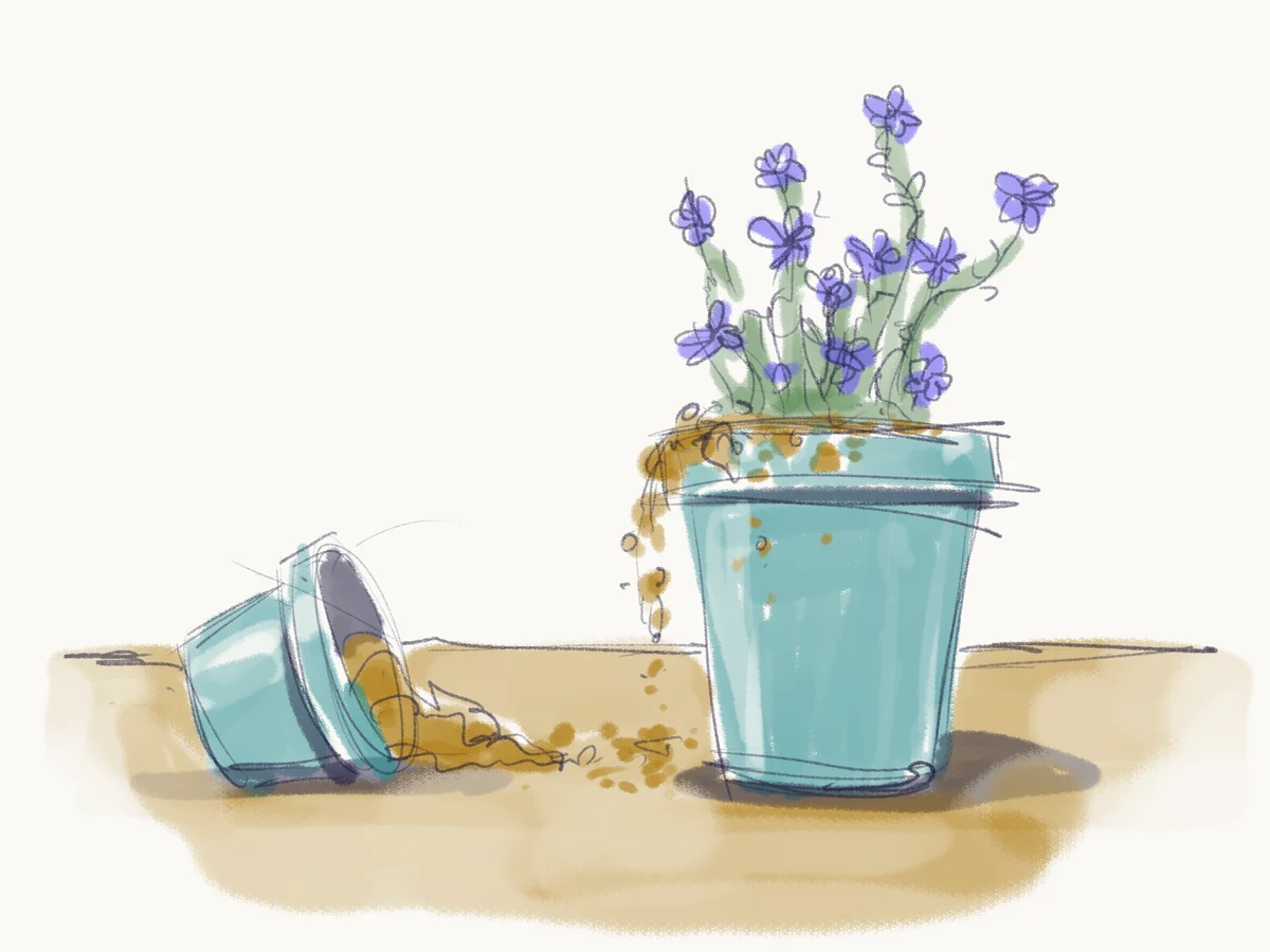 Sketch of periwinkle flowers transplanted into a larger teal pot, with a smaller pot tipped over beside it.
