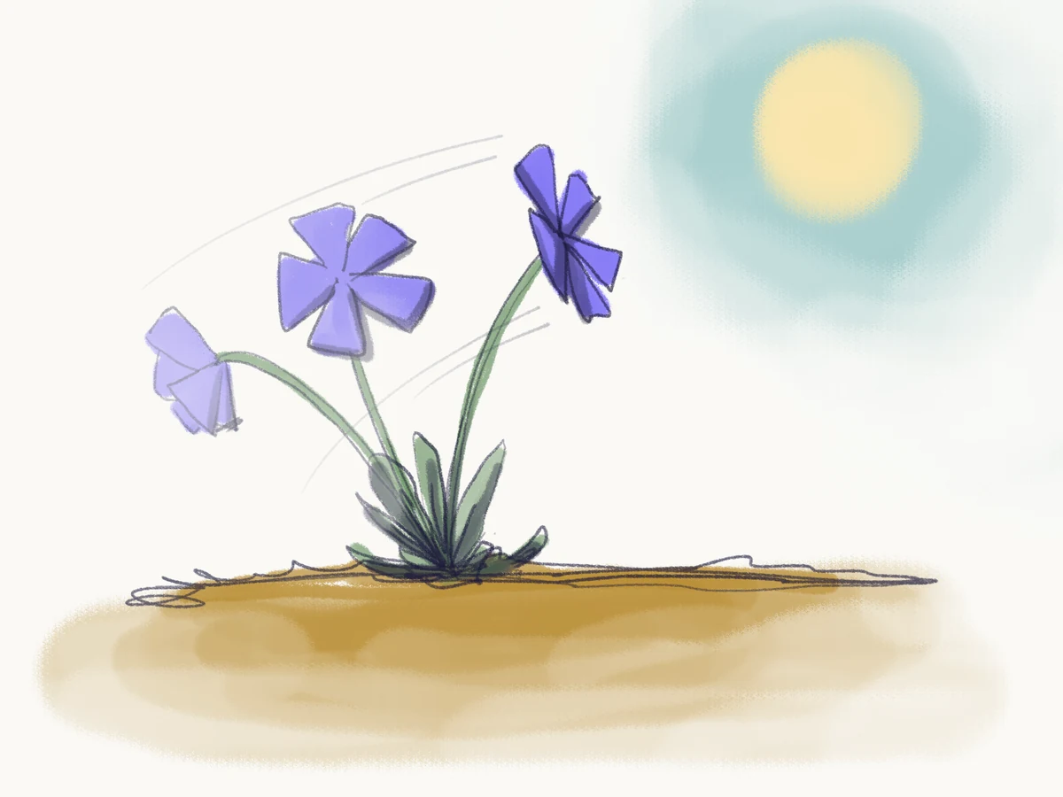 Sketch of periwinkle flowers swaying in the wind and turning toward the sun.