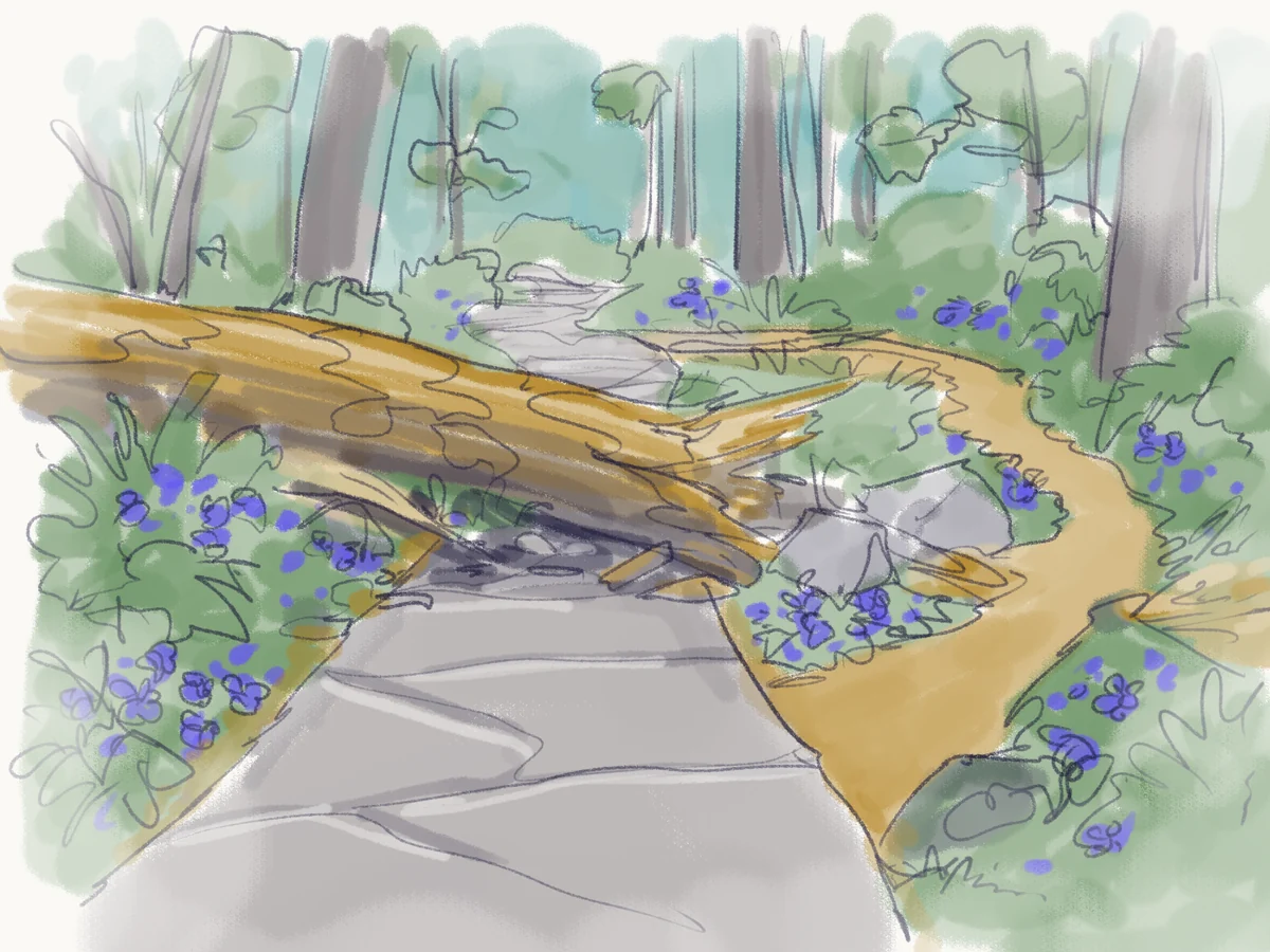 Sketch of a fallen tree blocking a paved forest path, with a new dirt trail curving around it through the periwinkle.